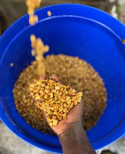 1.  AEROBIC FERMENTATION PROCESS