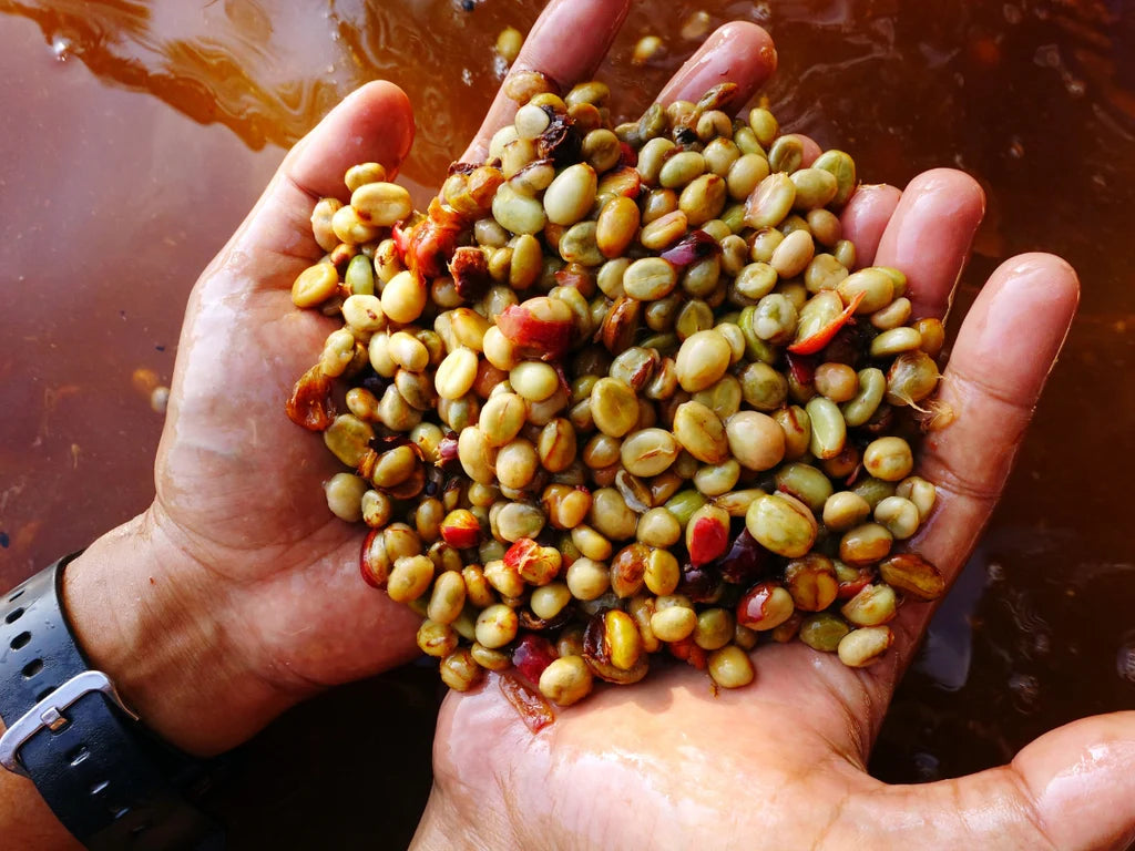 1.  AEROBIC FERMENTATION PROCESS